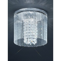 Light 29