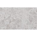 Silver Honed Limestone