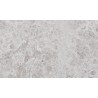 Silver Honed Limestone