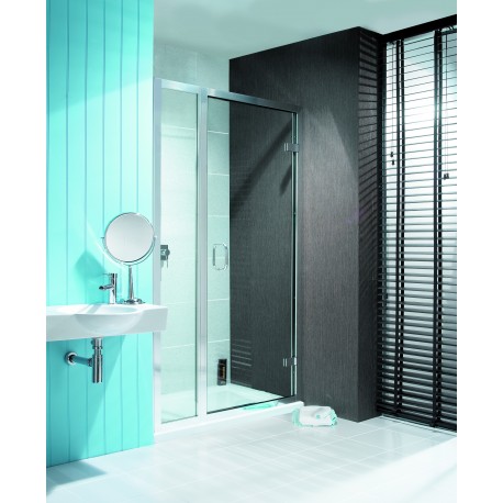 Hinged Steam/Power Shower Door with inline panel