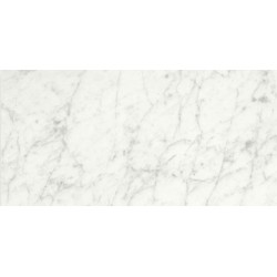 Carrara Porcelain size 295x595mm