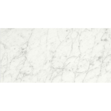 Carrara Porcelain size 295x595mm