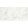 Carrara Porcelain size 295x595mm